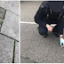 La policière trouve ce tout petit bébé dans la rue. Puis les policiers décident de réunir cette mystérieuse créature avec sa maman.