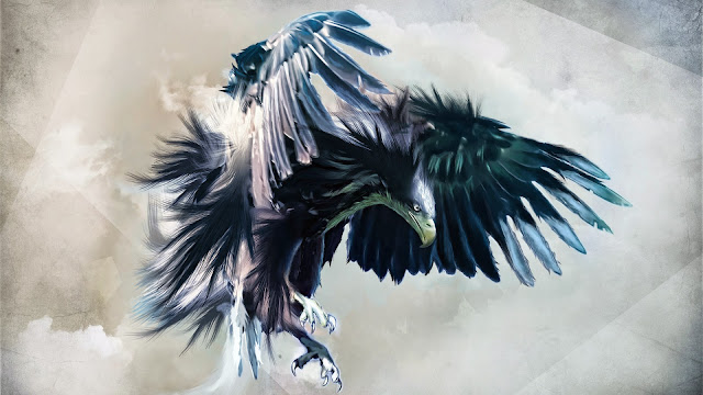 eagle image, eagle picture, eagle photo hd, eagle background, eagle desktop pc wallpaper