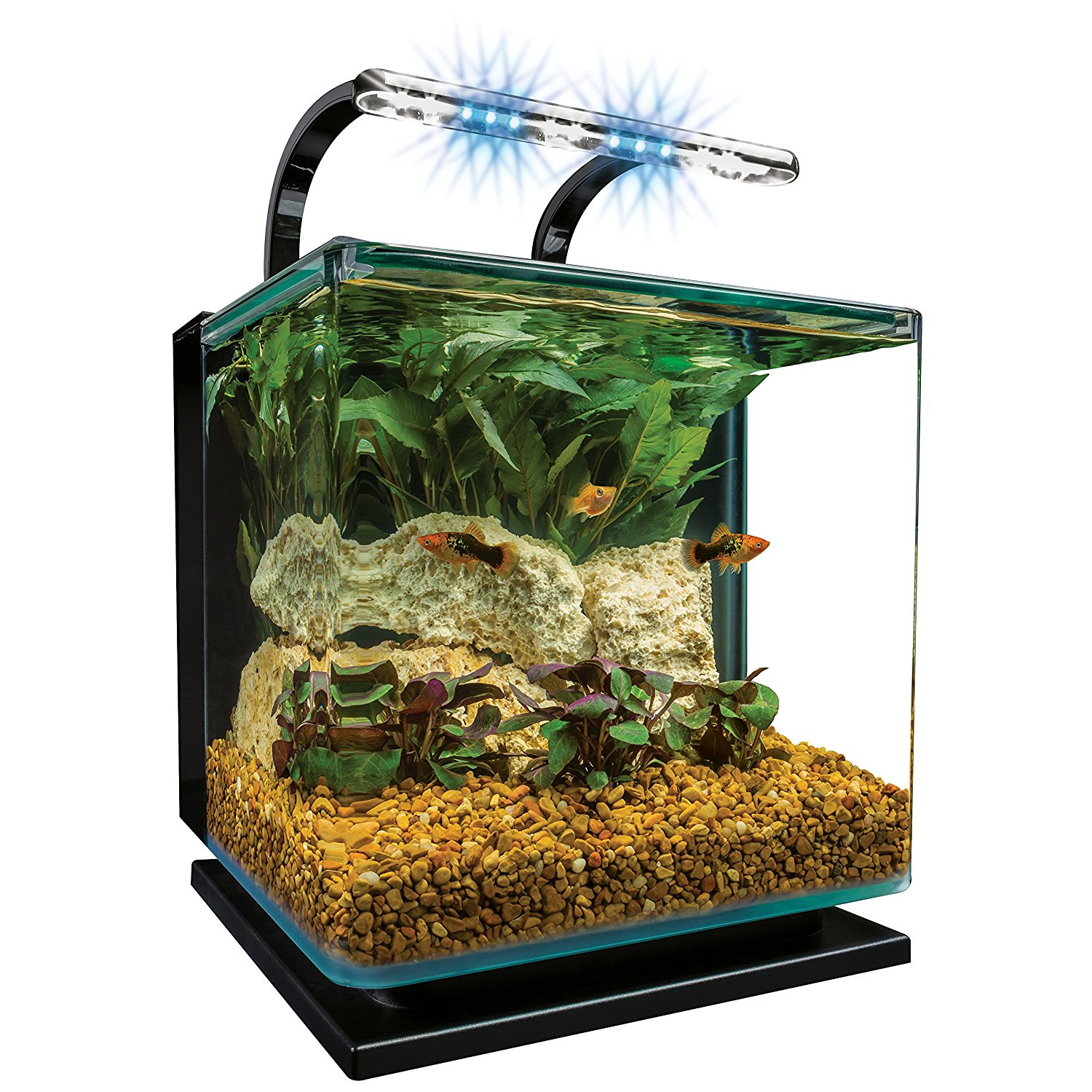 Best Aquarium Starter Kit Aquarium Starter Kits