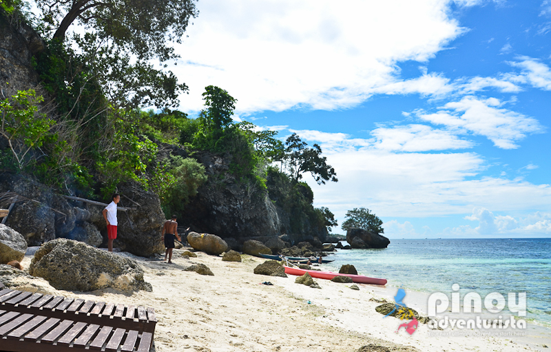 Fall In Love With Amorita Resort Alona Beach Panglao Island Amorita Resort Beach