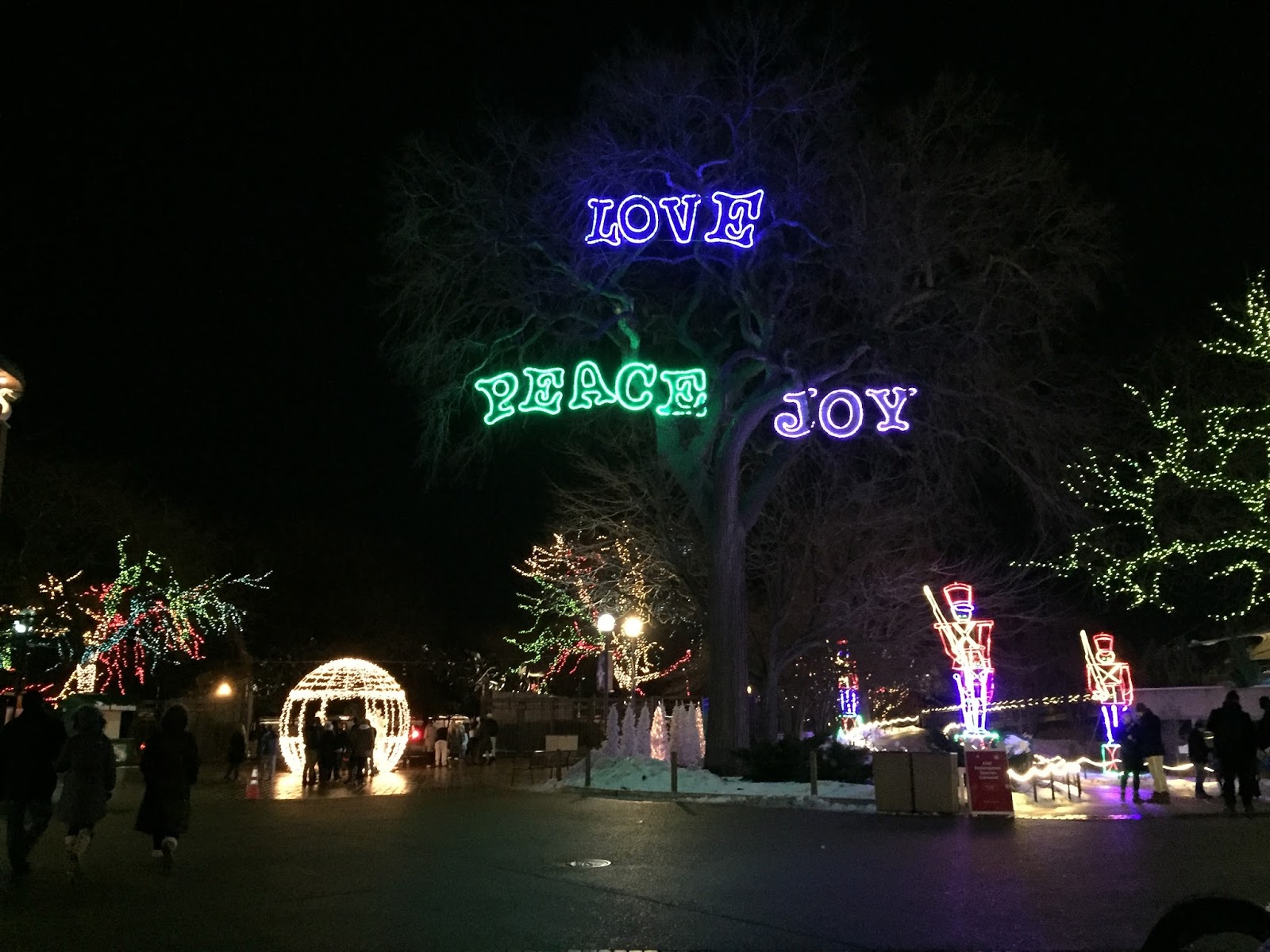 Chicago Christmas Lights