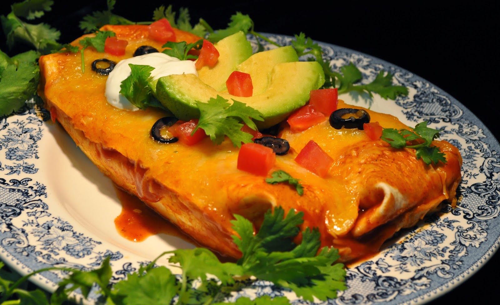 The BBlurb Betsy's No Garlic Cha Cha Chicken Enchiladas, Olé!