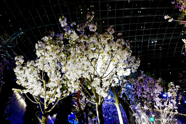 bowdywanders.com Singapore Travel Blog Philippines Photo :: Singapore :: Blossom Beats Floral Display: Singapore’s Own Cherry Blossoms Festival