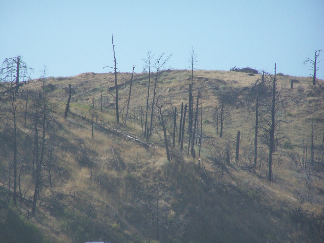 Sightseeing in the USA CrossCountry Road Trip Forest Fire in Lame