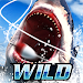 Tải Game Wild Fishing Simulator Hack Full Tiền Vàng Cho Android