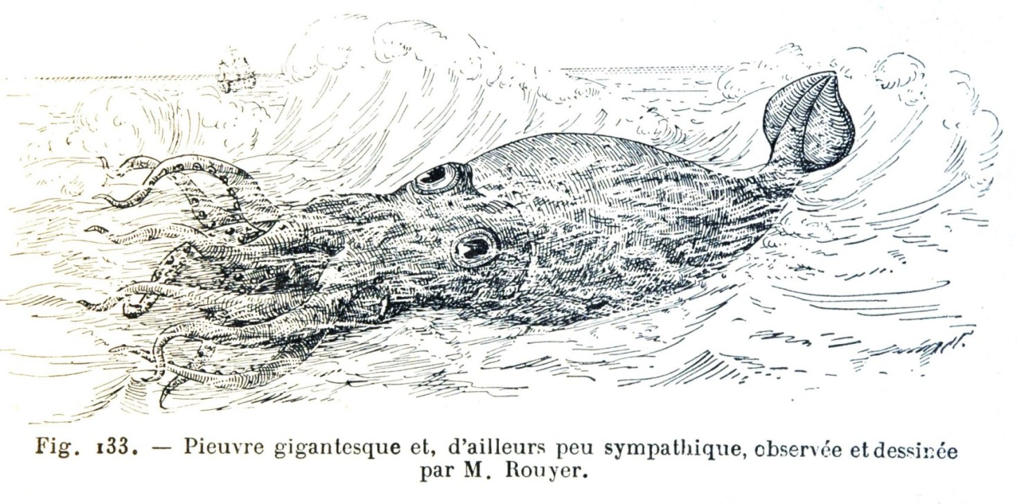 Les ma?�tres fous: La Pieuvre