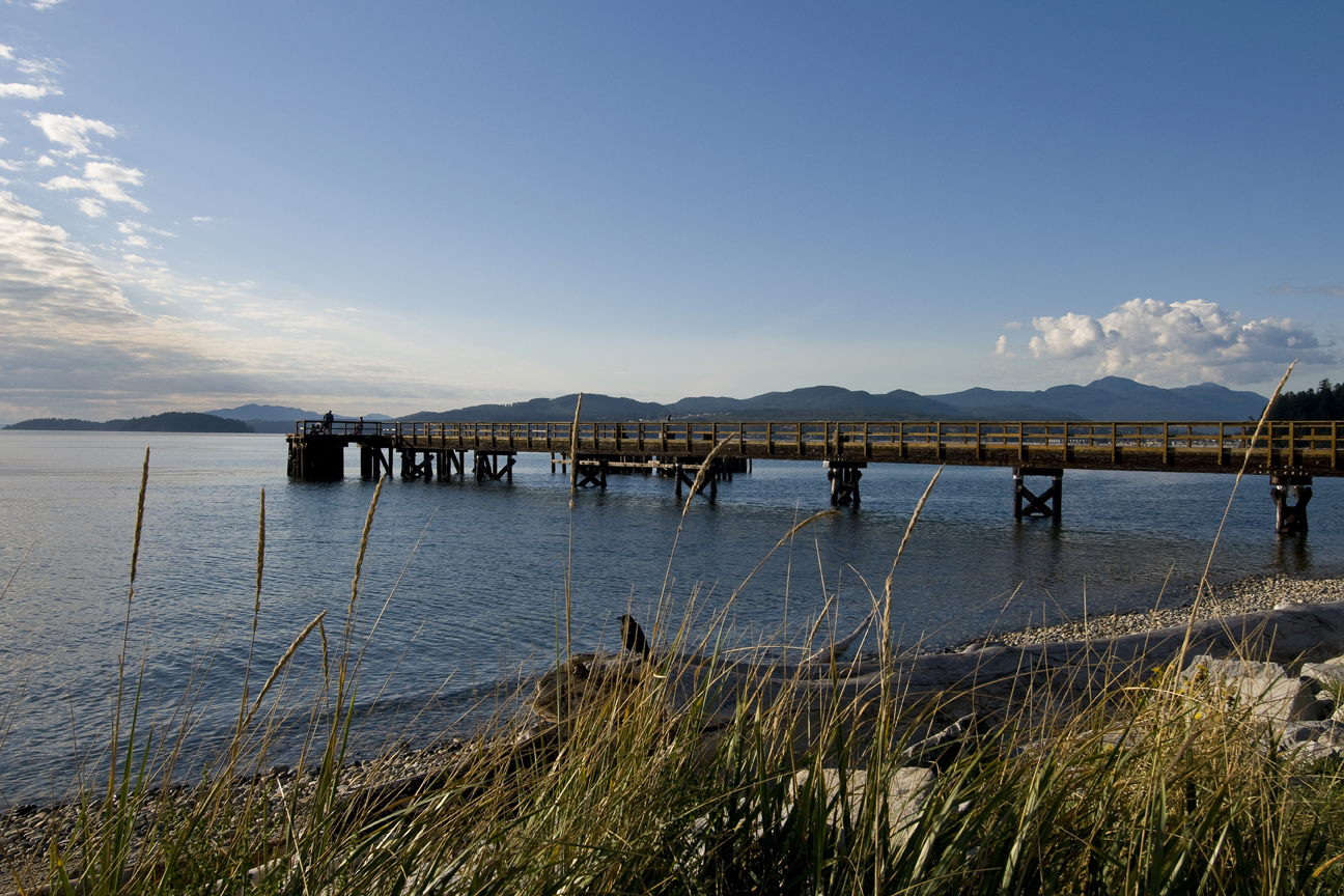 GO LOCAL An Inside View of Life on the Coast Community Guide Wilson