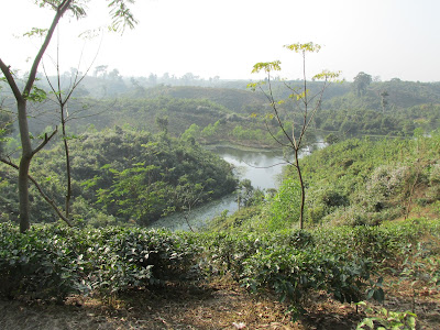 Madhabpur Lake