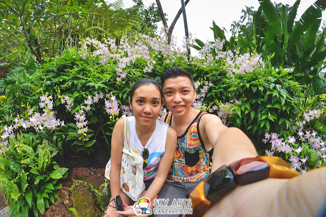 A natural photo-wall for you in National Orchid Garden #TCSelfie