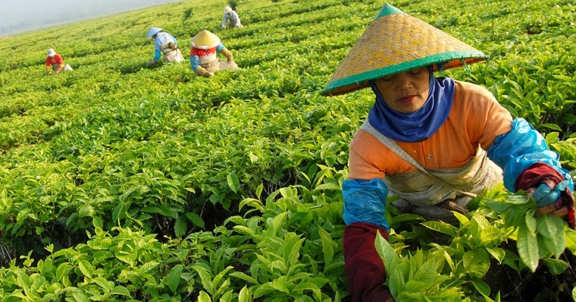 Jenis Perjuangan Dengan Mengolah Sumber Daya Alam