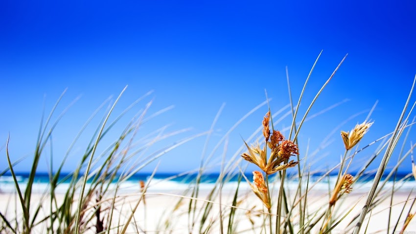 Nature Beach 3 Nature Beach 3