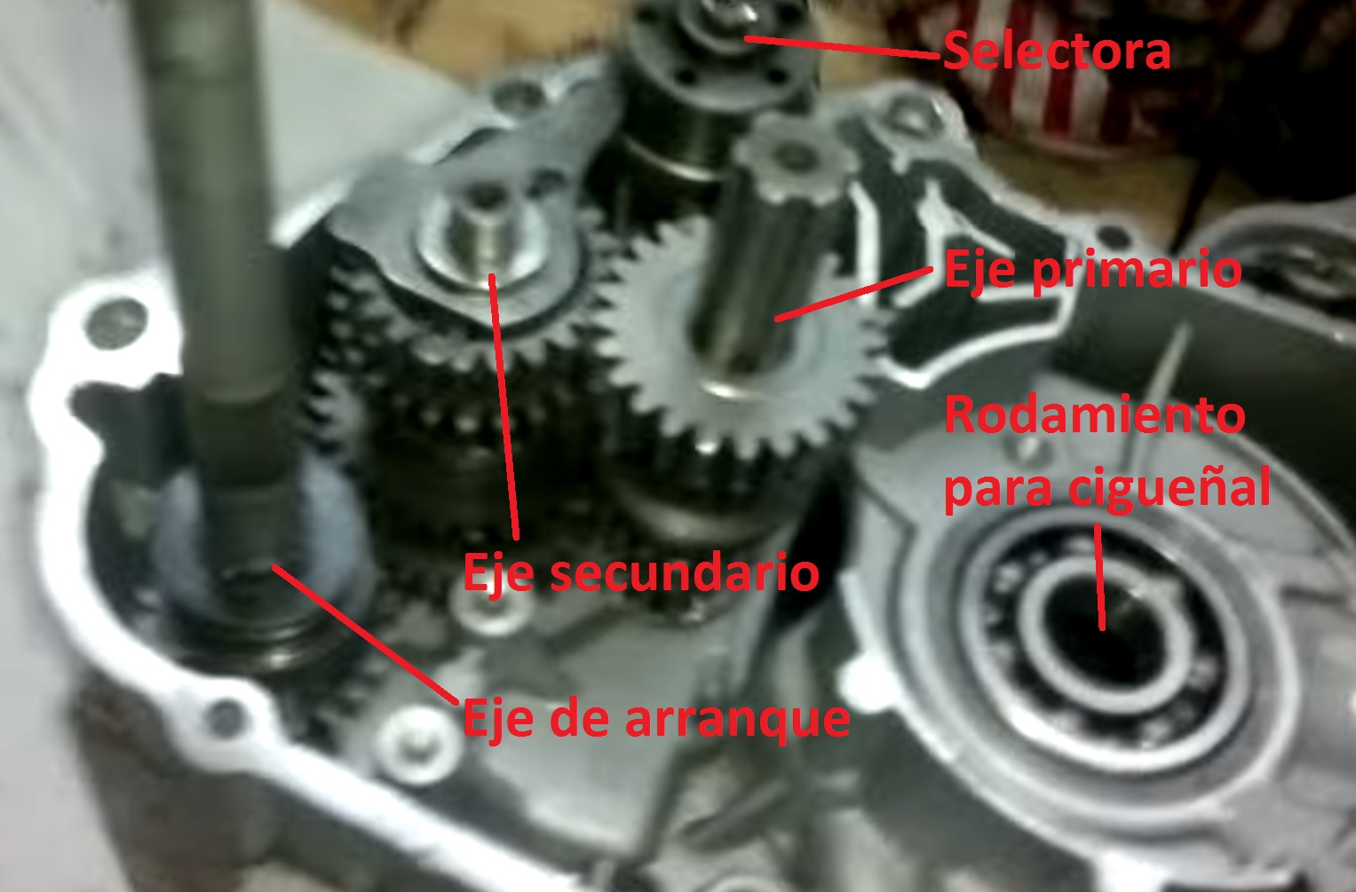 Todo sobre motos Mecánica Caja de cambios Todo sobre motos Mecánica Caja de cambios