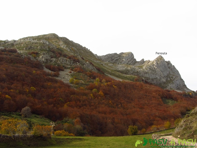 Bosque otoñal bajo la Peña La Penouta en Somiedo