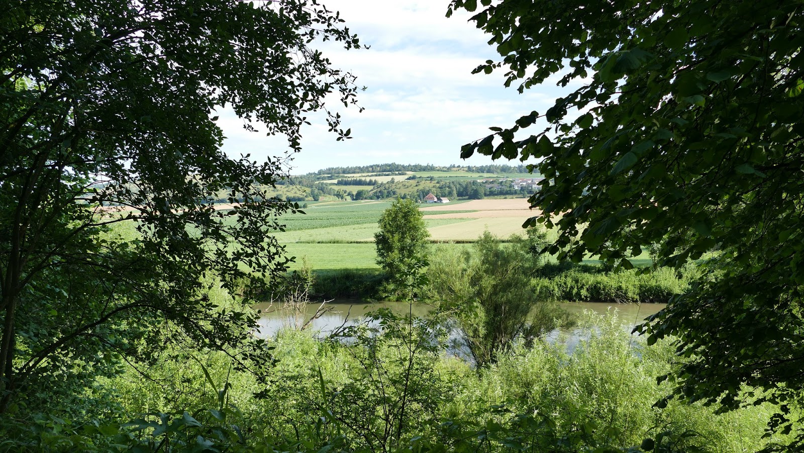 Retro Rolli Fur Damen Nelvita Olive Meets Charlene Raxn