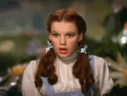 Hook a Book: Summer Reading Challenge #10: Dorothy must die - Danielle ...