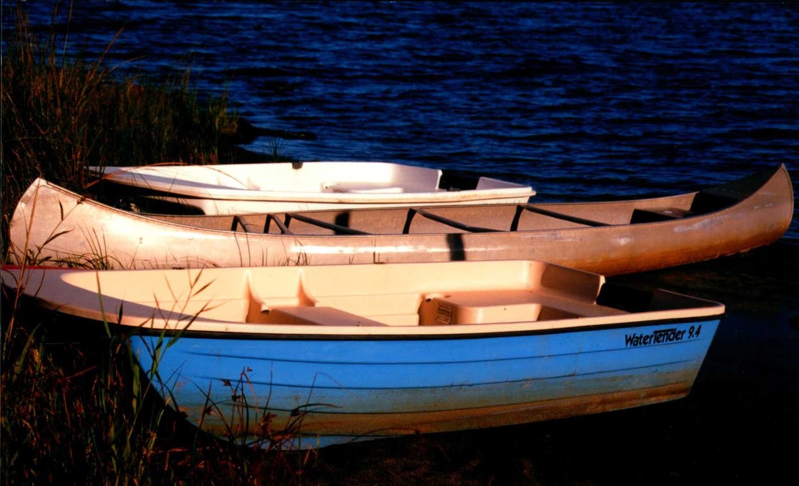 Vineyard Haven Public Library Art in the Stacks Phyllis Dunn