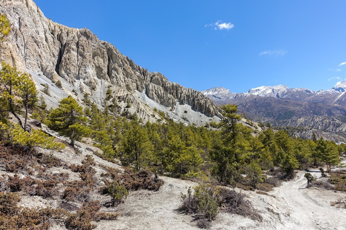200км по красно-белым черточкам.. Around Annapurna. март-апрель 2017