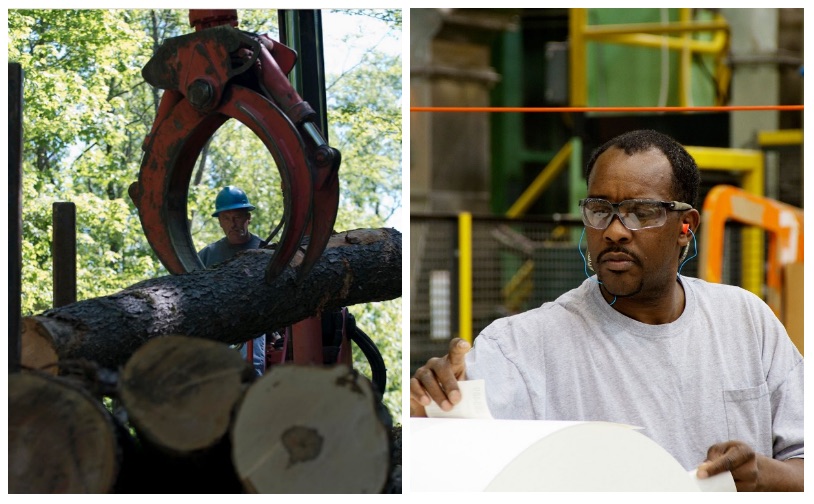 PA Environment Digest Blog Hardwoods Development Council Opens PA