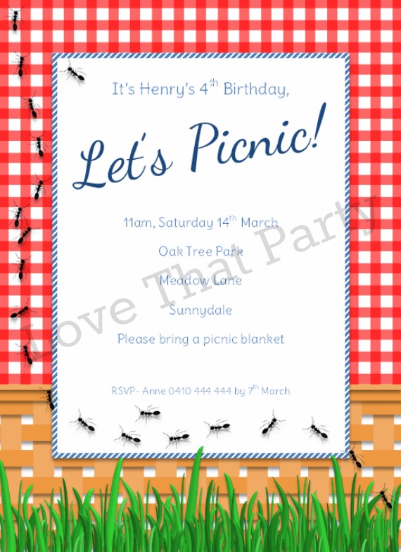 love that party birthday invitations and party decorations picnic