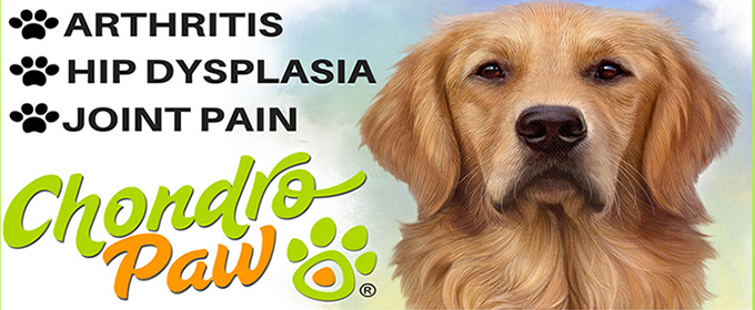 Arthritis in Dogs Fast Relief