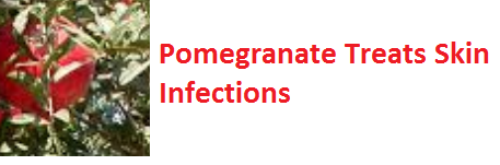 Health Benefits of Pomegranate Fruit (anar fruit) juice - Pomegranate Treats Skin Infections