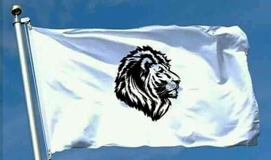 Banderas de Argentina y de todo el mundo: Banderas con leones /Parte 3