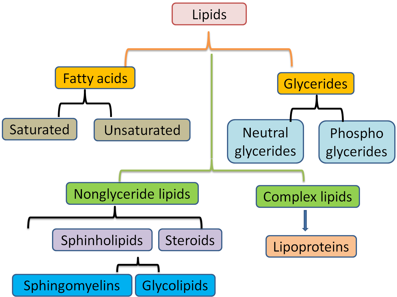 Fat Lipid 113