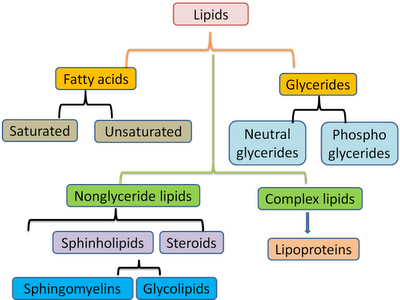 multiple choice on Classification of lipids