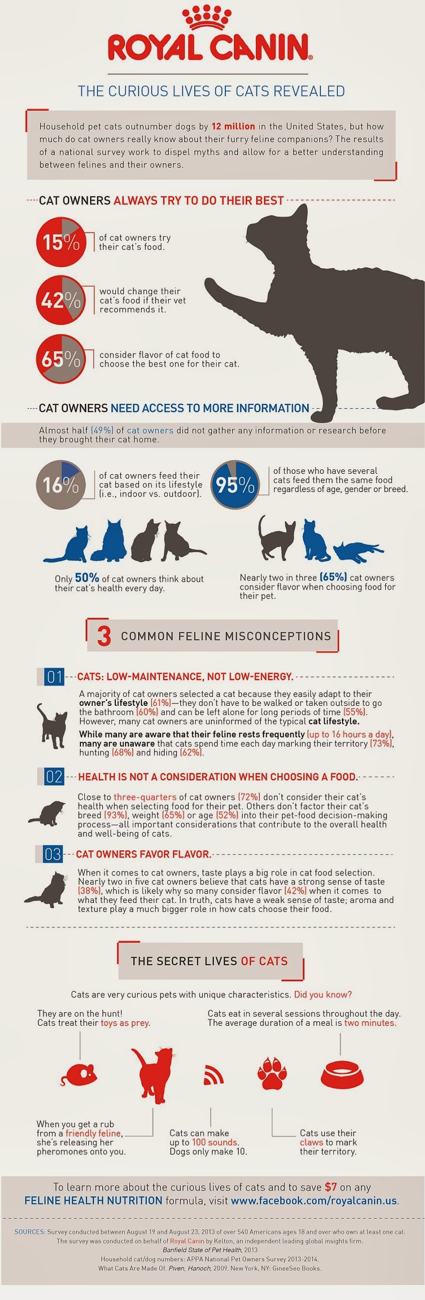 Infographic: The Curious Lives Of Cats Revealed