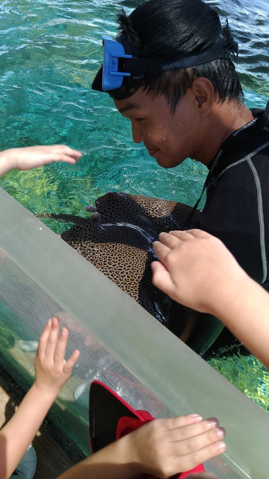 Manila Ocean Park Review 2019 Entrance Fee + Packages + What To Do