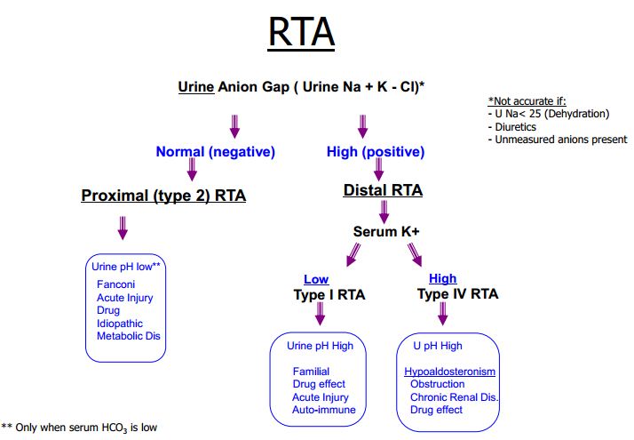 Tutor #39 s Notes: general cardiovascular respiratory and renal