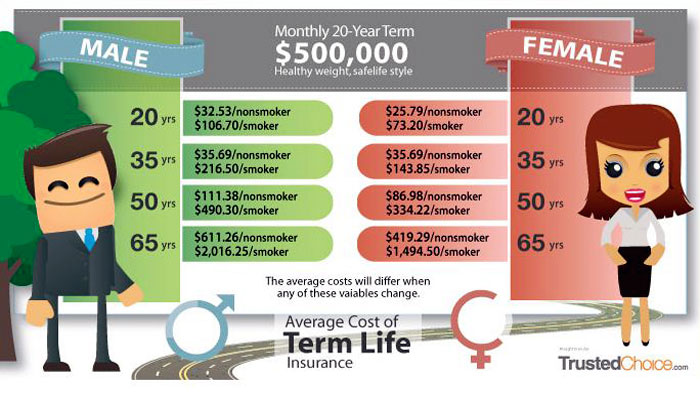 Term Life Insurance