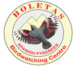 Boletas birding