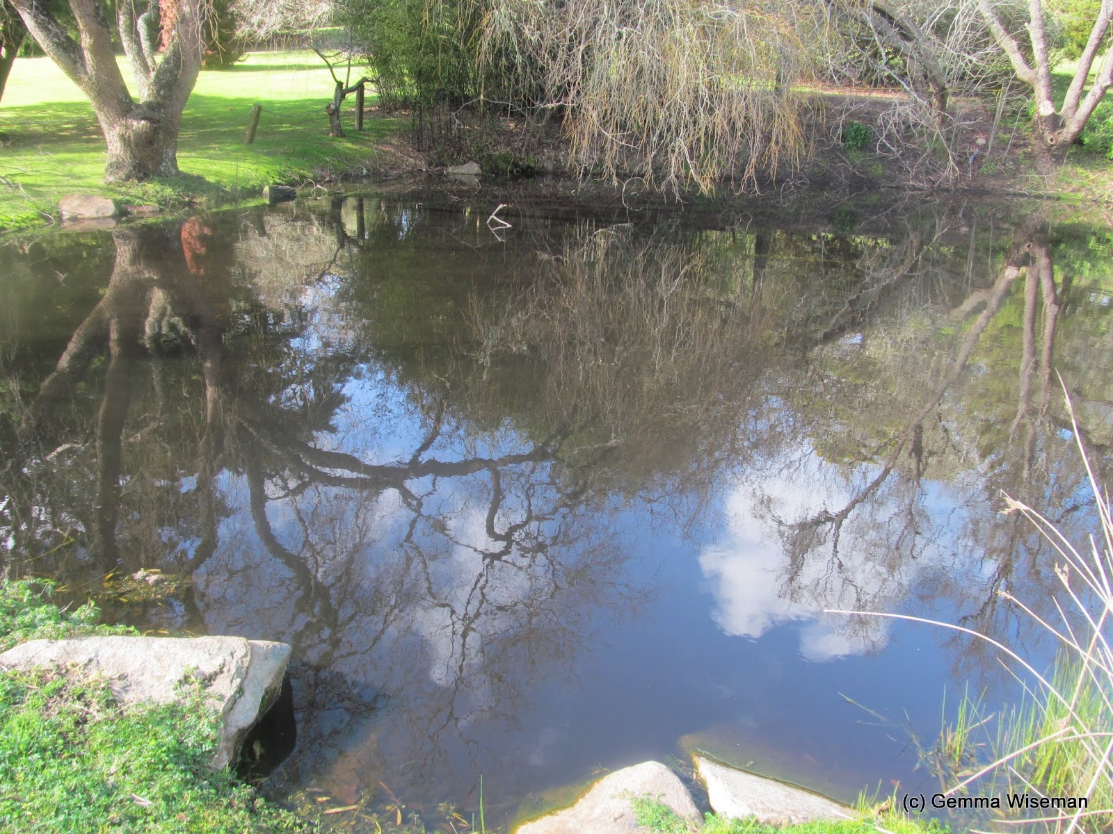 MORNINGTON PENINSULA DAILY pretty little pond...