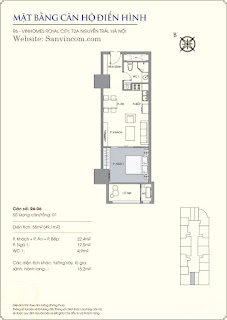 Chung cư Royal city 55m2