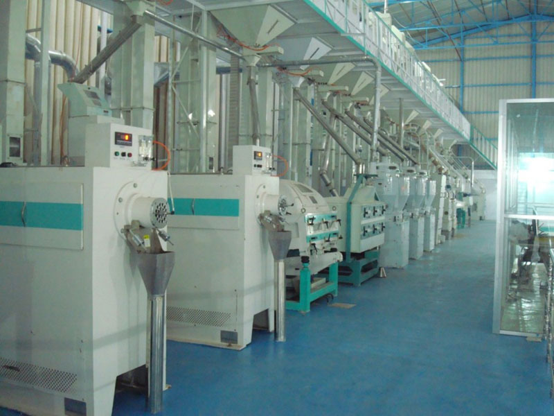 Project Profile of Flour Mill Project Profile Bangladesh