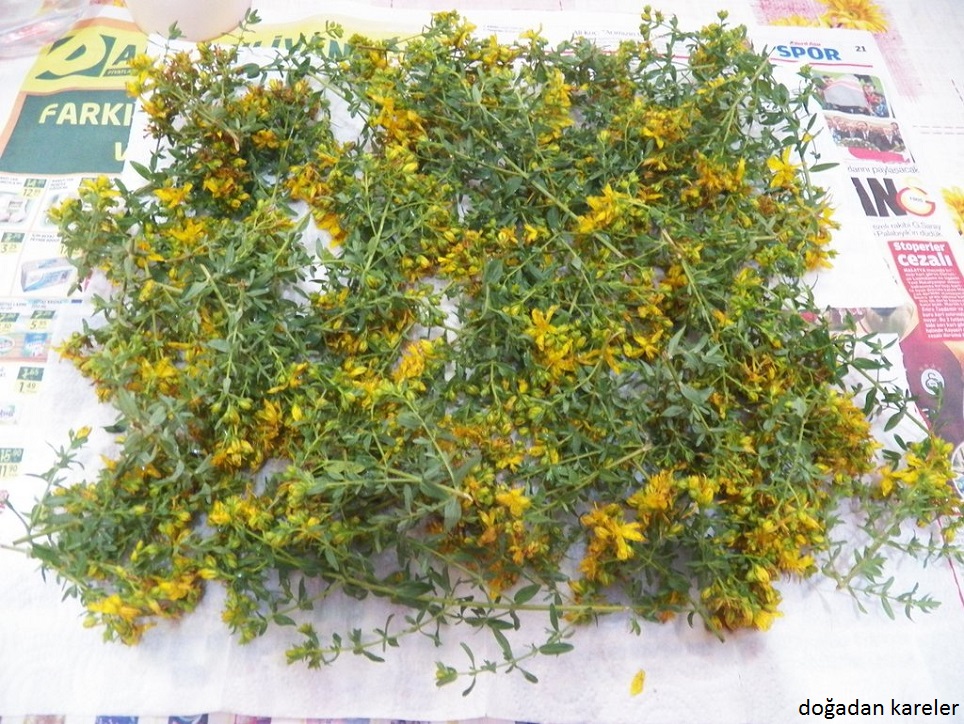 Kantaron Yagi Nasil Yapilir Cahide Sultan ب س م الله الر ح من الر ح يم