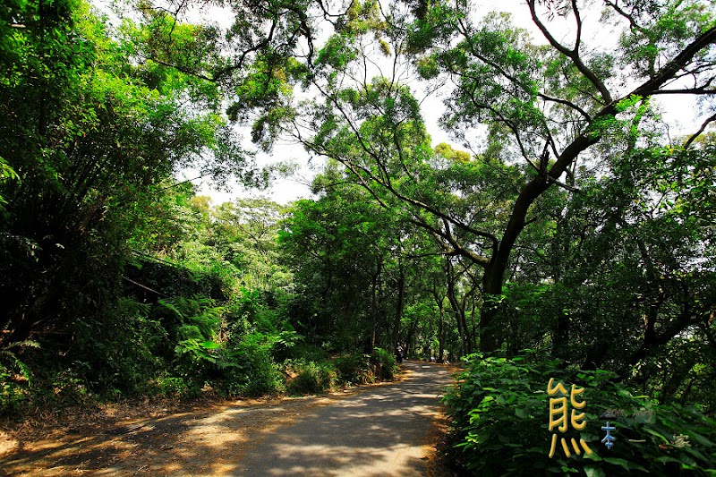 虎山親山步道|龍山宮|四獸山