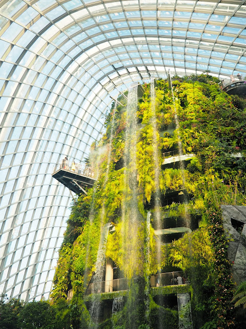 Cloud Forest, Gardens by the Bay, Singapore