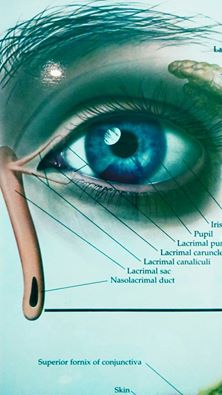 late el ojo derecho arriba late el ojo derecho arriba