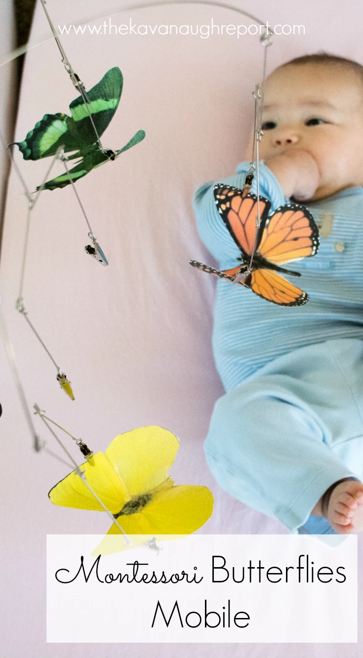 The Montessori inspired butterflies mobile is perfect for older newborns. The beautiful realistic images are perfect for visual tracking skills for Montessori babies.