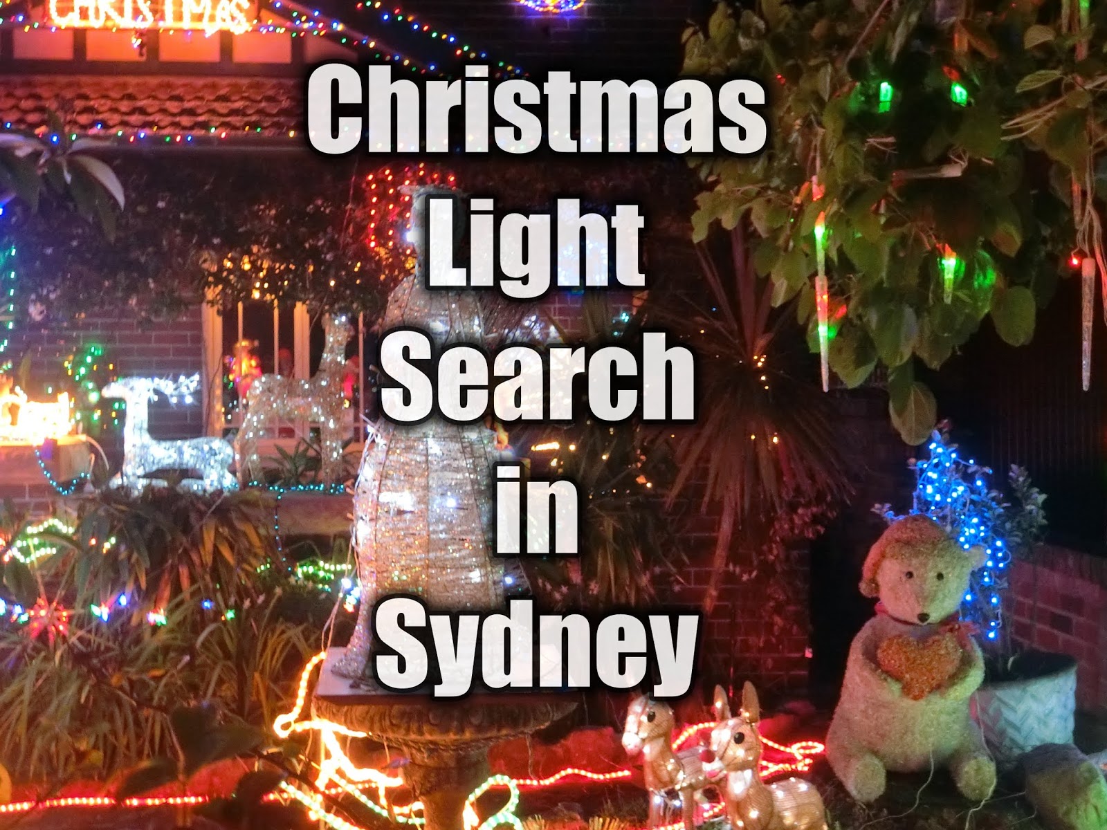 Christmas Light Search In Sydney Hi5 The World