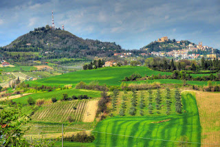 Colline di Bertinoro FC Bertinoro