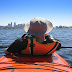 Adventure in Sydney Harbour Lunch Kayak Tour