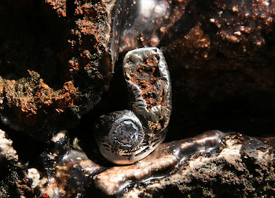 meteorite ring with diamond by alex streeter