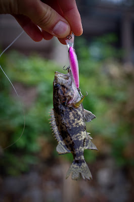 Ауха на Jackall Bros. Soul Shad 45SP Ауха на Jackall Bros. Soul Shad 45SP