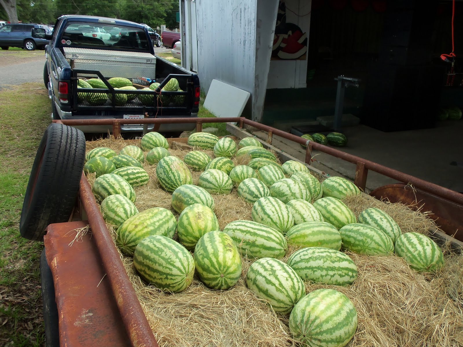 Life with M.E. best year of my life.