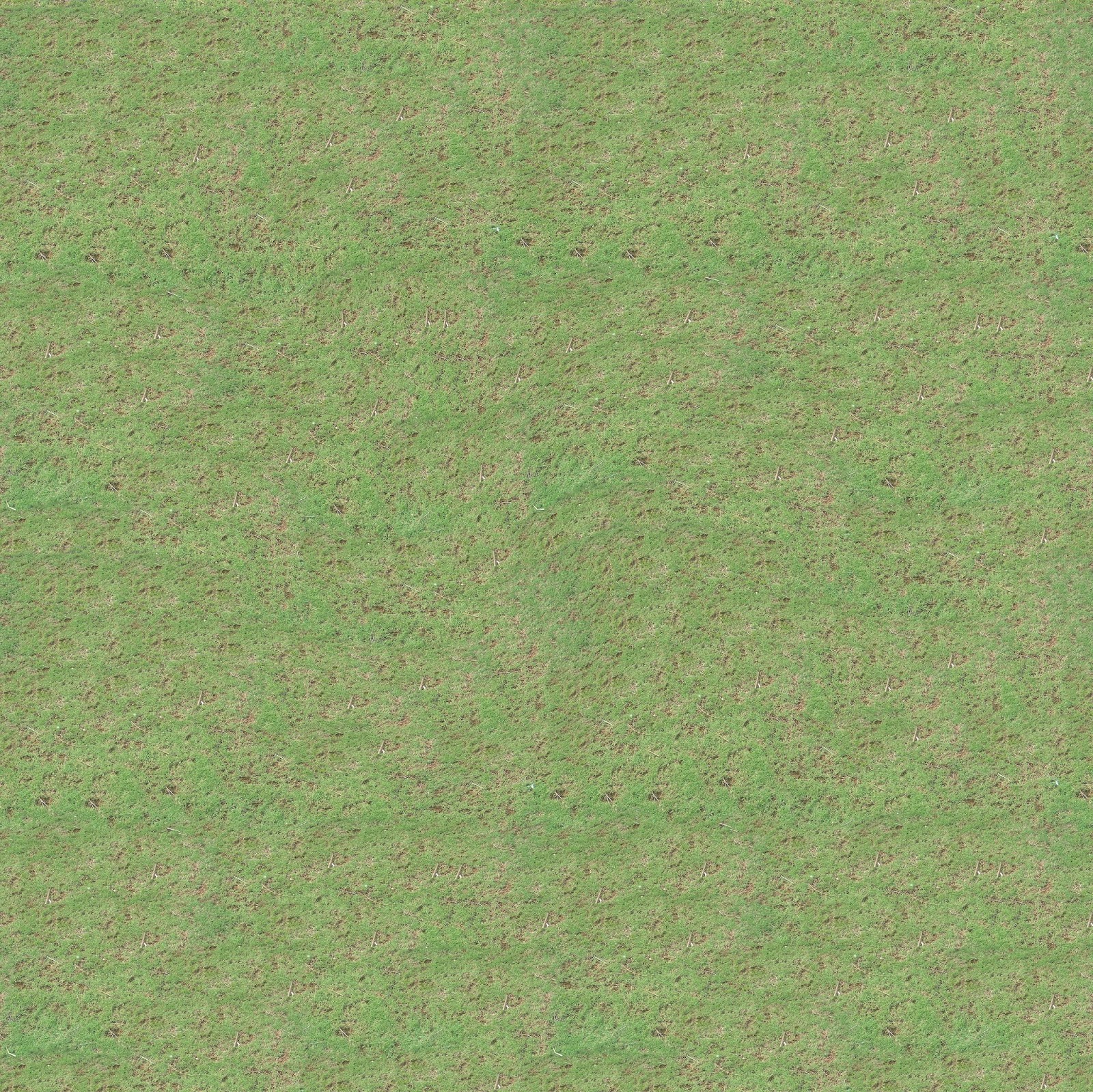 Grass Texture Map Seamless