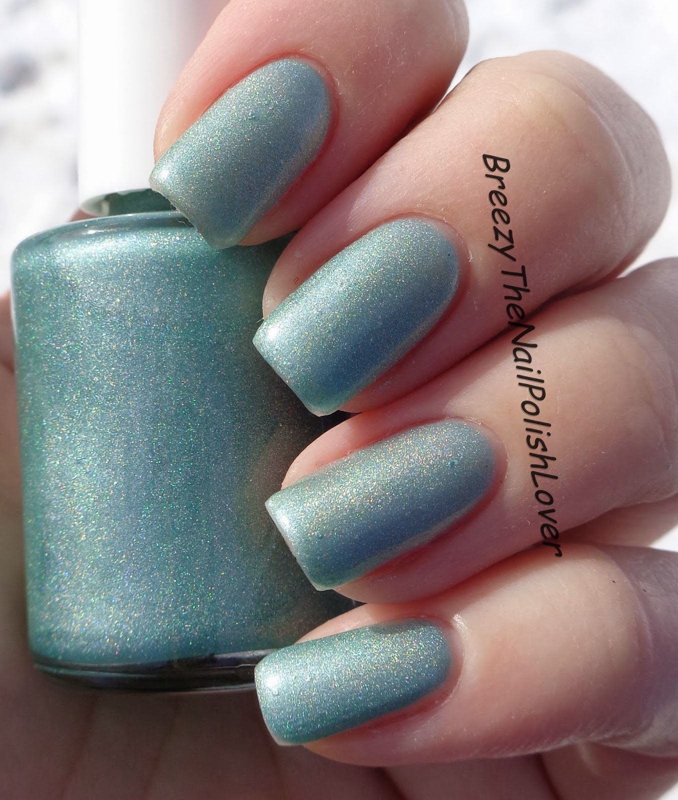 BreezyTheNailPolishLover Cutting Edge Nails Frozen Collection Review!