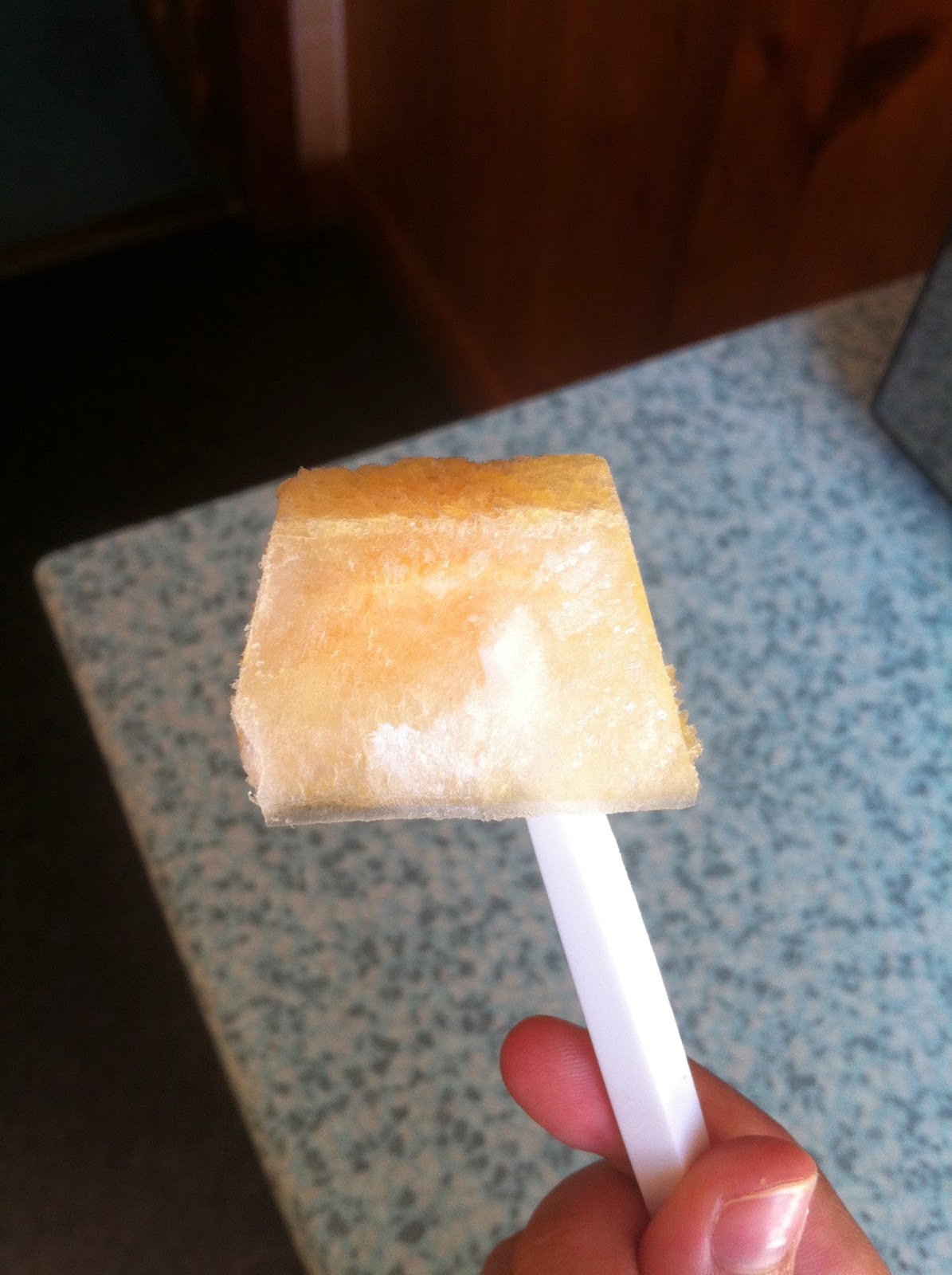 The Perks Of Meg DIY Orange Ice Cube Popsicles.